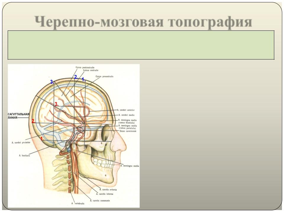 Схема брюсовой кронляйна