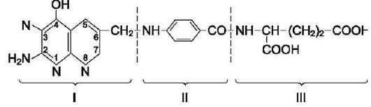 Фолиевая тиамин. Антивитамины фолиевой кислоты. ТПФ формула биохимия. Витамин в1 структура. Витамин в9 строение.