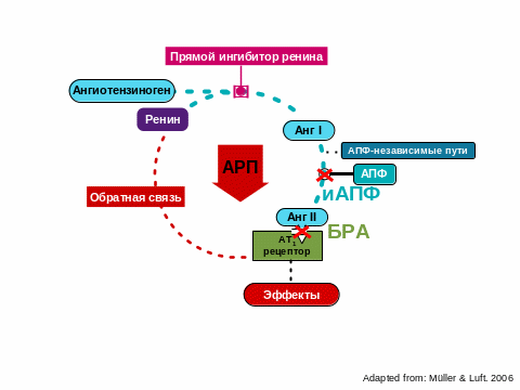 Блокаторы альфа1 –адренорецепторов