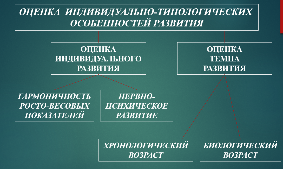 Сенситивные периоды развития ребенка физиология thumbnail