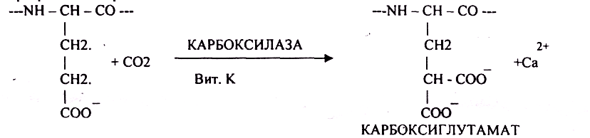 Биохимические функции витаминов а и е