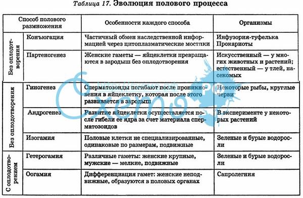 ЧОП (Обществознание) - Фотография 19 из 19 ВКонтакте
