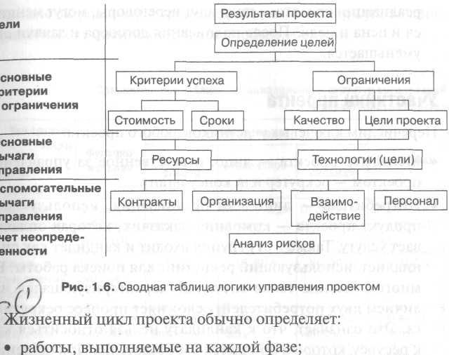 Организационные структуры управления проектами