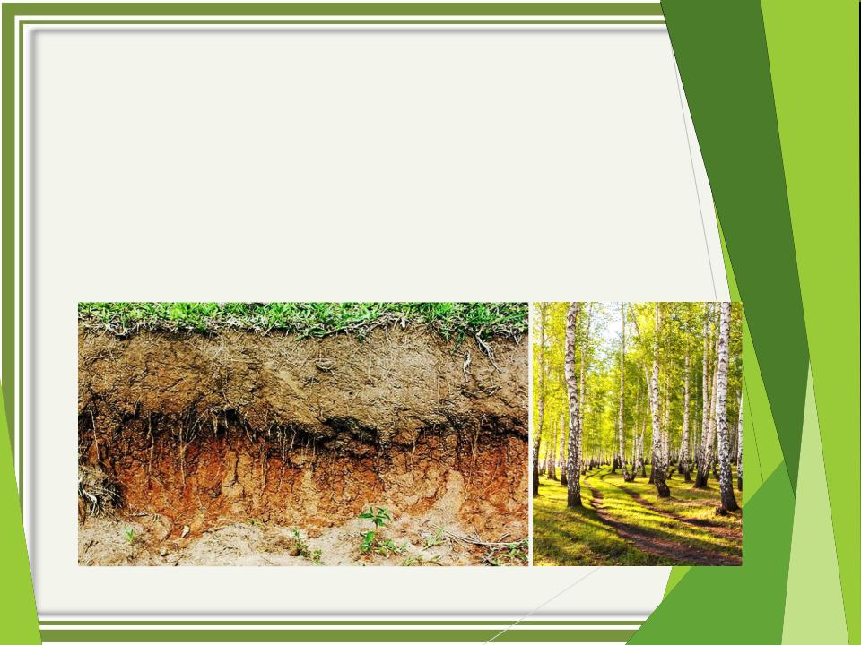 Как используется подзолистая почва