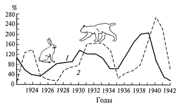 Нарисуйте на графике изменение численности лис учитывая численность зайцев