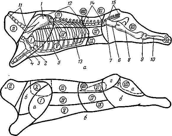 Разделка говядины схема