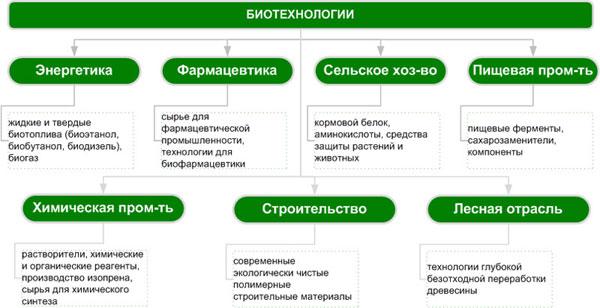 Биотехнология как отрасль производства презентация 10 класс