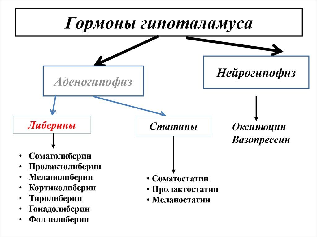 Либерины и статины. Гормоны гипофиза и гипоталамуса таблица. Гипоталамус вырабатывает следующие гормоны. Гипоталамус гормоны и функции таблица. Таблица рилизинг гормоны гипоталамуса.