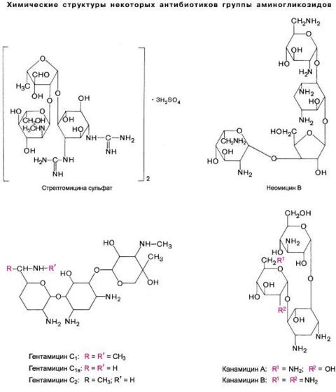 Химическая структура. Аминогликозиды химическое строение. Стрептомицина сульфат химическое строение. Строение аминогликозидных антибиотиков. Аминогликозиды химическая структура.