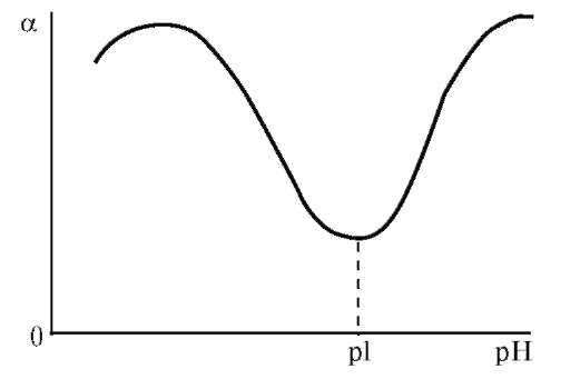 Белковая точка. Зависимость степени набухания от PH. График зависимости степени набухания от PH. Зависимость степени набухания белков от РН. Изоэлектрическая точка график.