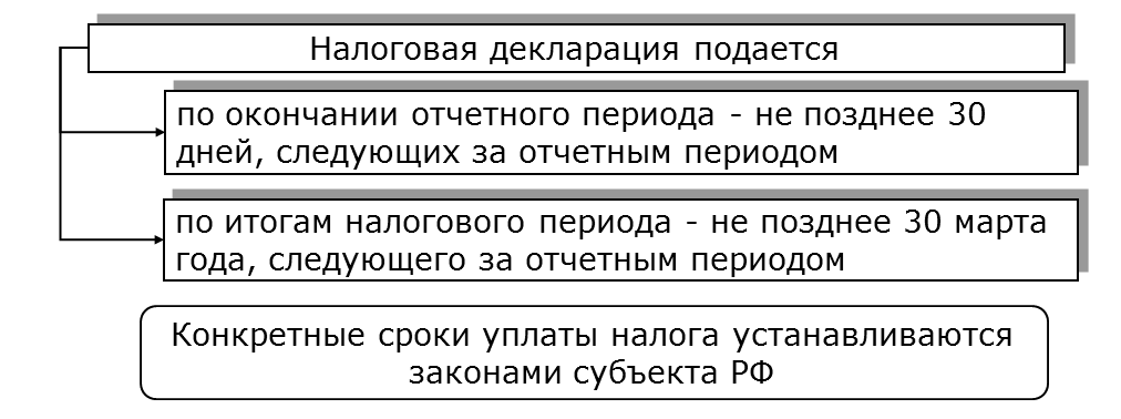 Какие займы налоговая признала схемой