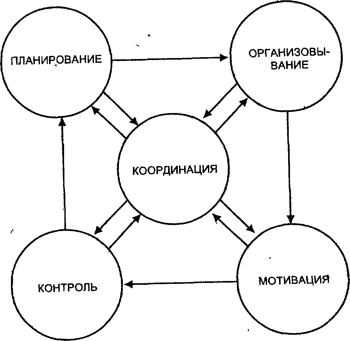 Координация в менеджменте картинки