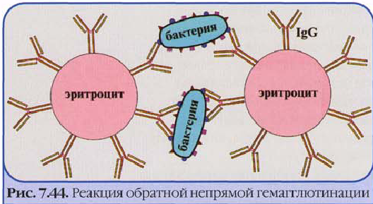 Презентация по Химии "Серелогические реакции" - скачать смотреть бесплатно