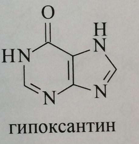 Гипоксантин формула. Гипоксантин строение. Гипоксантин структурная формула. Ксантин и гипоксантин.