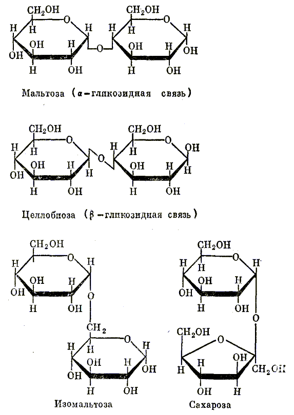 1 1 гликозидной связью. Мальтоза Тип гликозидной связи. Альфа-(1-4) Тип гликозидной связи. Бета 1-4 гликозидная связь и 1-4 Альфа гликозидная связь. Альфа и бета мальтоза.