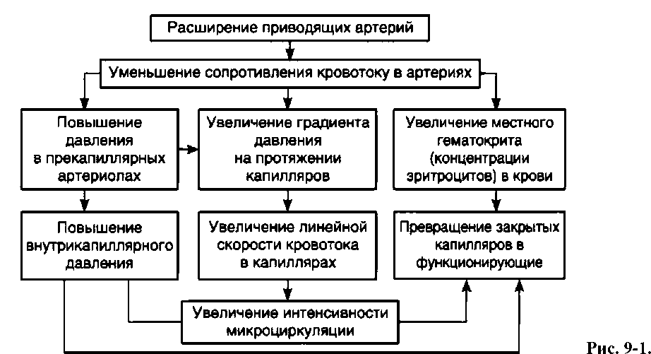1.Артериальная гиперемия