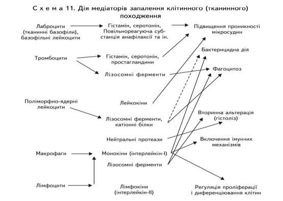 Загоювання вторинним натягом (загоювання через нагноєння або загоювання ...