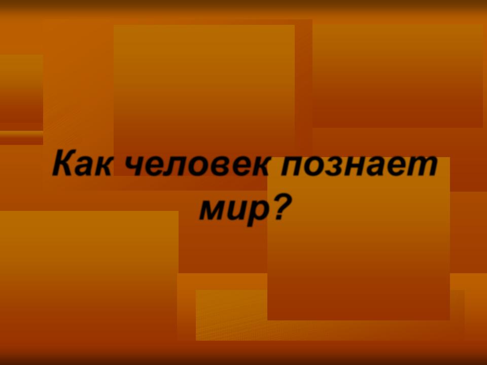Как человек познает мир философия