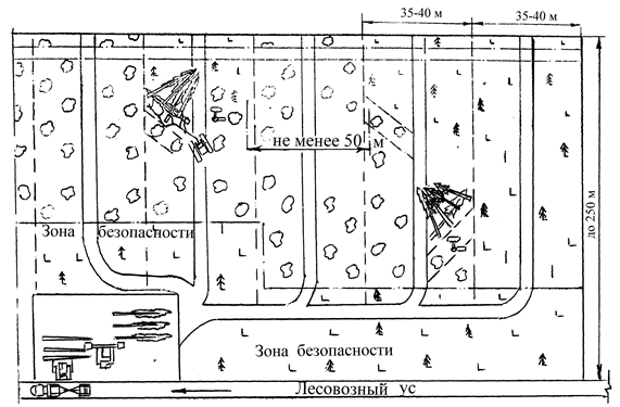 Схема разработки лесосеки харвестером и форвардером