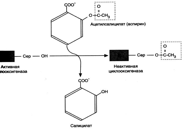 Синтез тема. Циклооксигеназа формула. Схема ингибирования циклооксигеназы. Ингибирование циклооксигеназы аспирином. Аспирин ингибитор циклооксигеназы.
