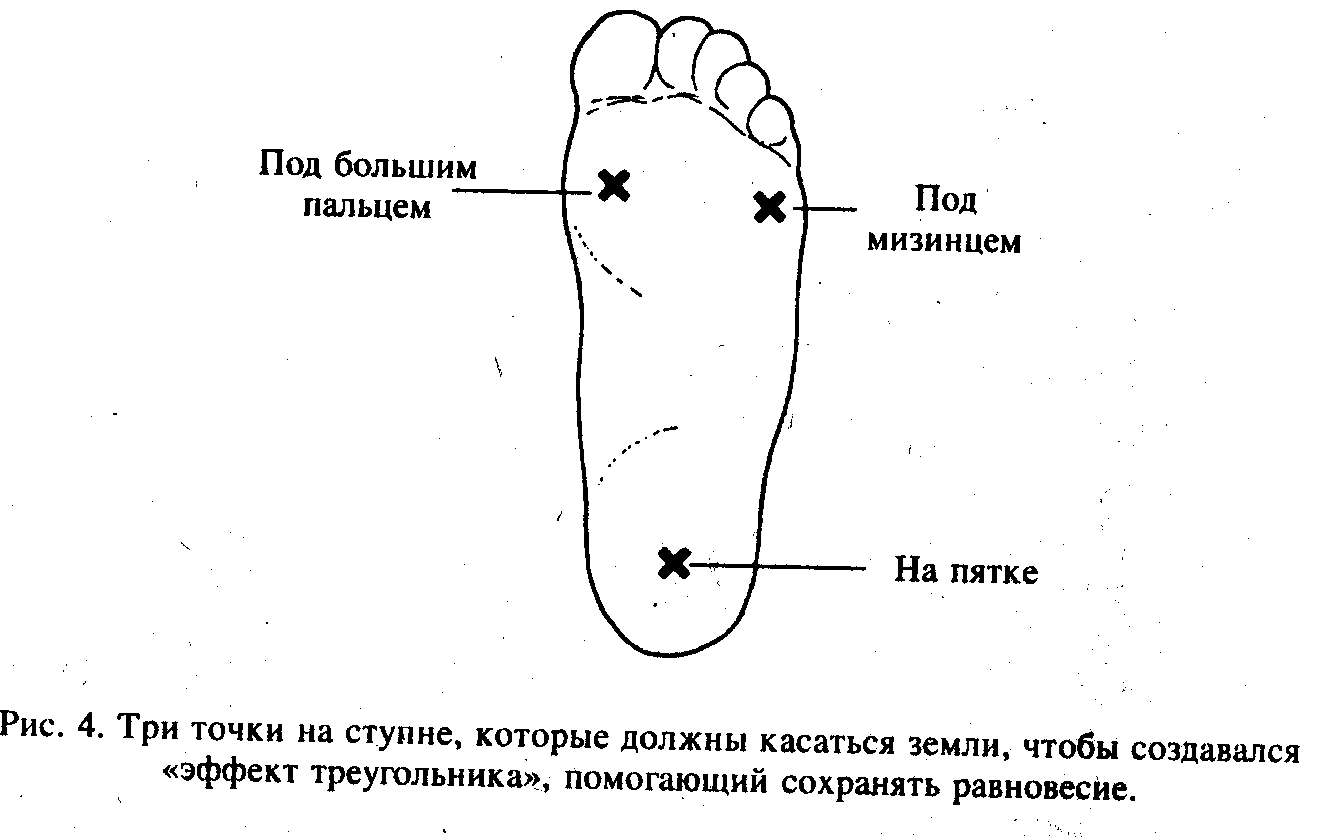 Три точки вход зудик. Опорные точки стопы. Точки опоры стопы при ходьбе. Точка давления на стопе. Точки опоры на подошвенной поверхности стопы.