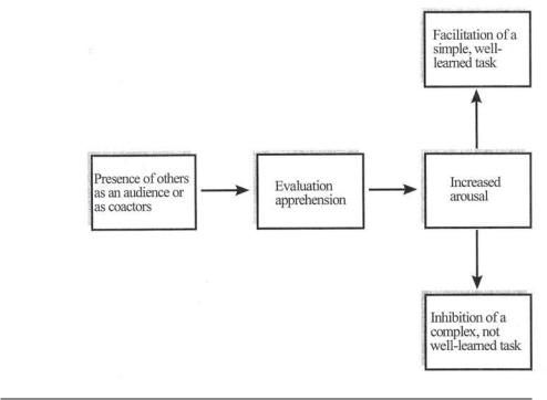 evaluation apprehension model
