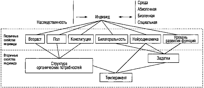 3. Индивидуально-психические особенности и сексуальность