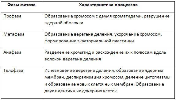 Репродукция живого. Нуклеиновые кислоты, их роль в биосинтетических процессах и