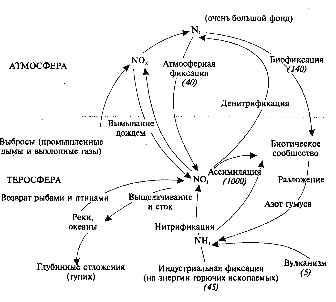 Круговорот азота в биосфере последовательность. Круговорот азота и углерода. Круговорот азота (по ф.Рамаду, 1981). Схема круговорота азота и углерода. Биохимический круговорот азота в природе.