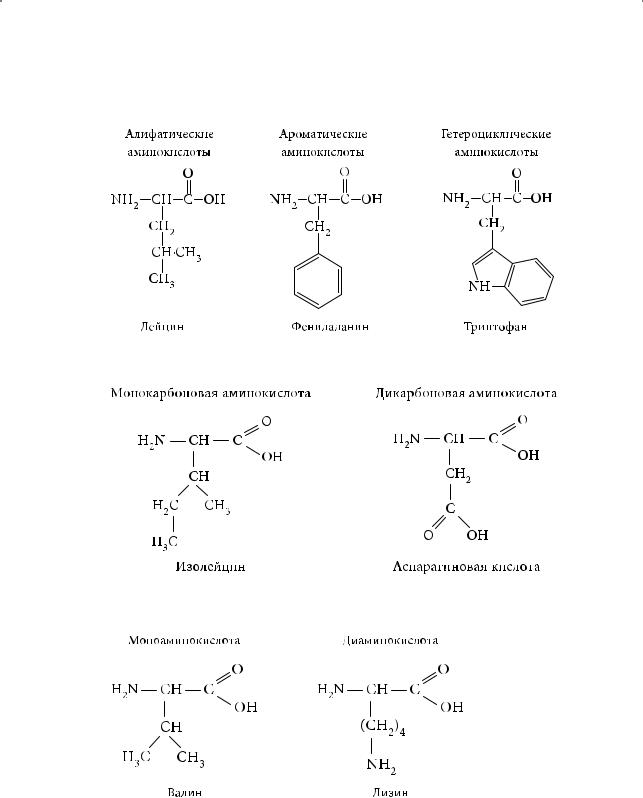 10 формул аминокислот