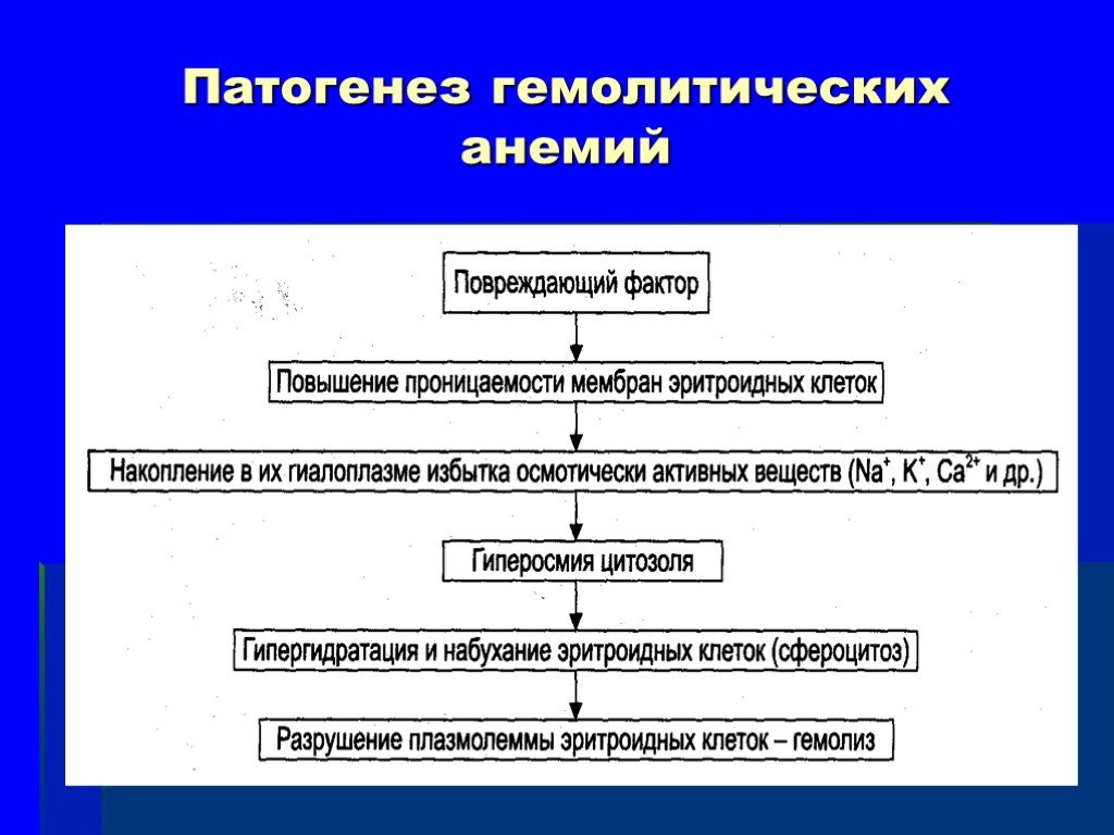 Патогенез основных. Гемолитическая анемия патогенез. Патогенез приобретенной гемолитической анемии. Механизм развития гемолитической анемии. Патогенез гемолитической анемии патофизиология.