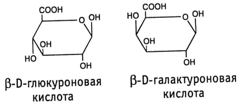 Камеди ковид. D глюкуроновая кислота формула. Формула глюкуроновой кислоты. D-глюкуроновой кислоты формула. Глюкуроновая кислота структурная формула.