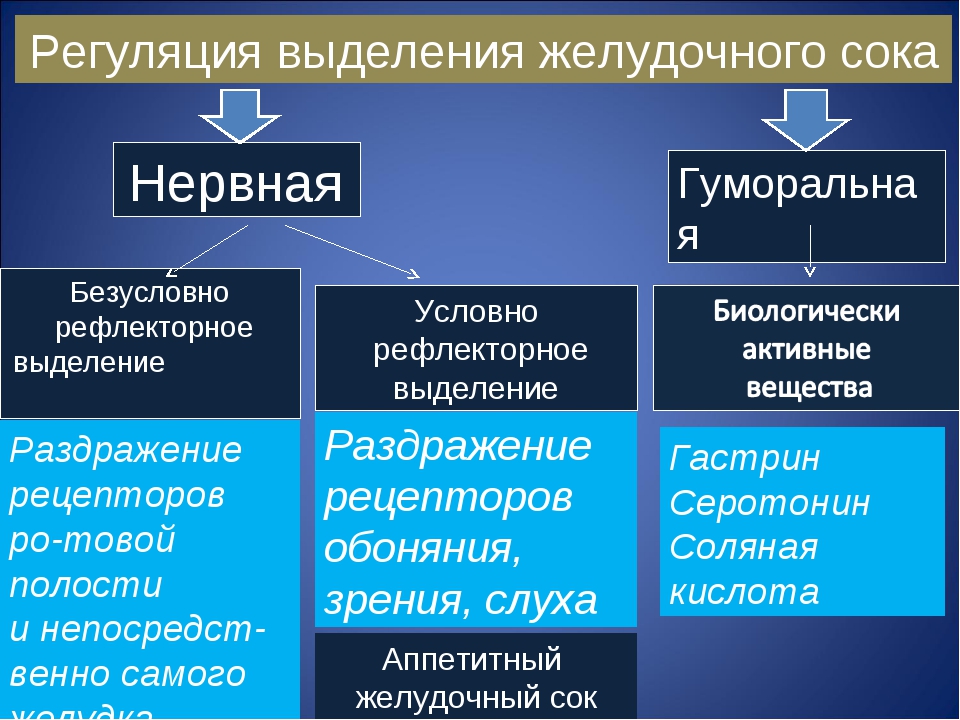 Какие соки выделяют железы. Ркгуляция секреции желудочногосока. Механизмы регуляции секреции желудочного сока. Схема регуляции выделения пищеварительных соков. Регуляция выработки пищеварительных соков.