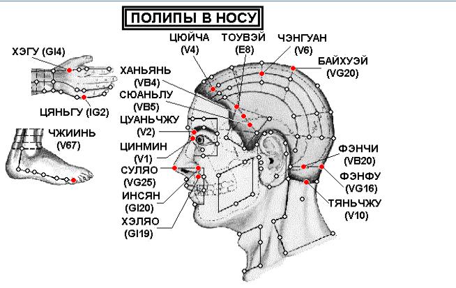 Акупунктурные точки на лице человека схема расположения Новый_атлас_Леднева_расширенный_Э_Александров - Стр 22
