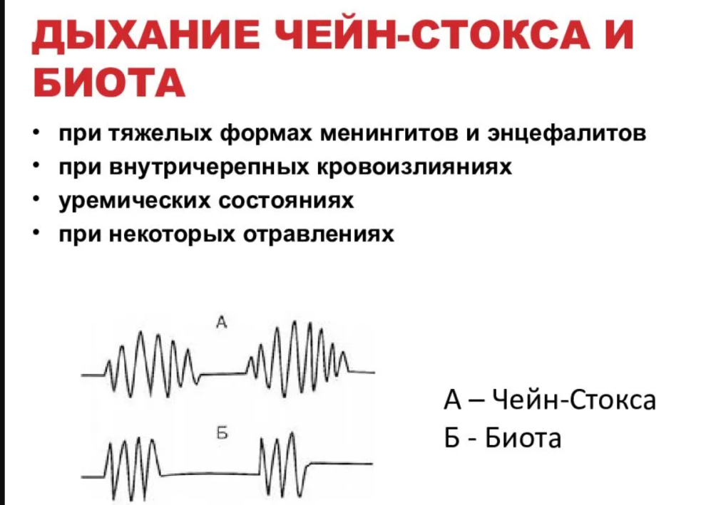 Формула зубов: