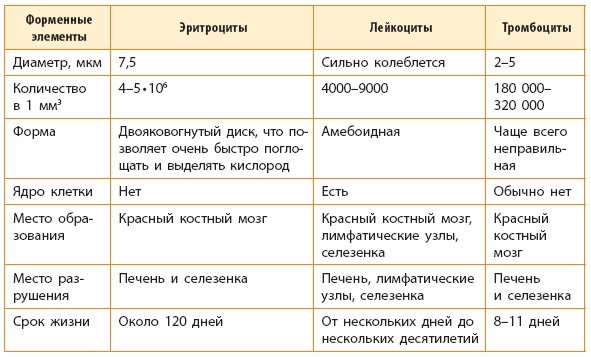 Место разрушения клеток крови