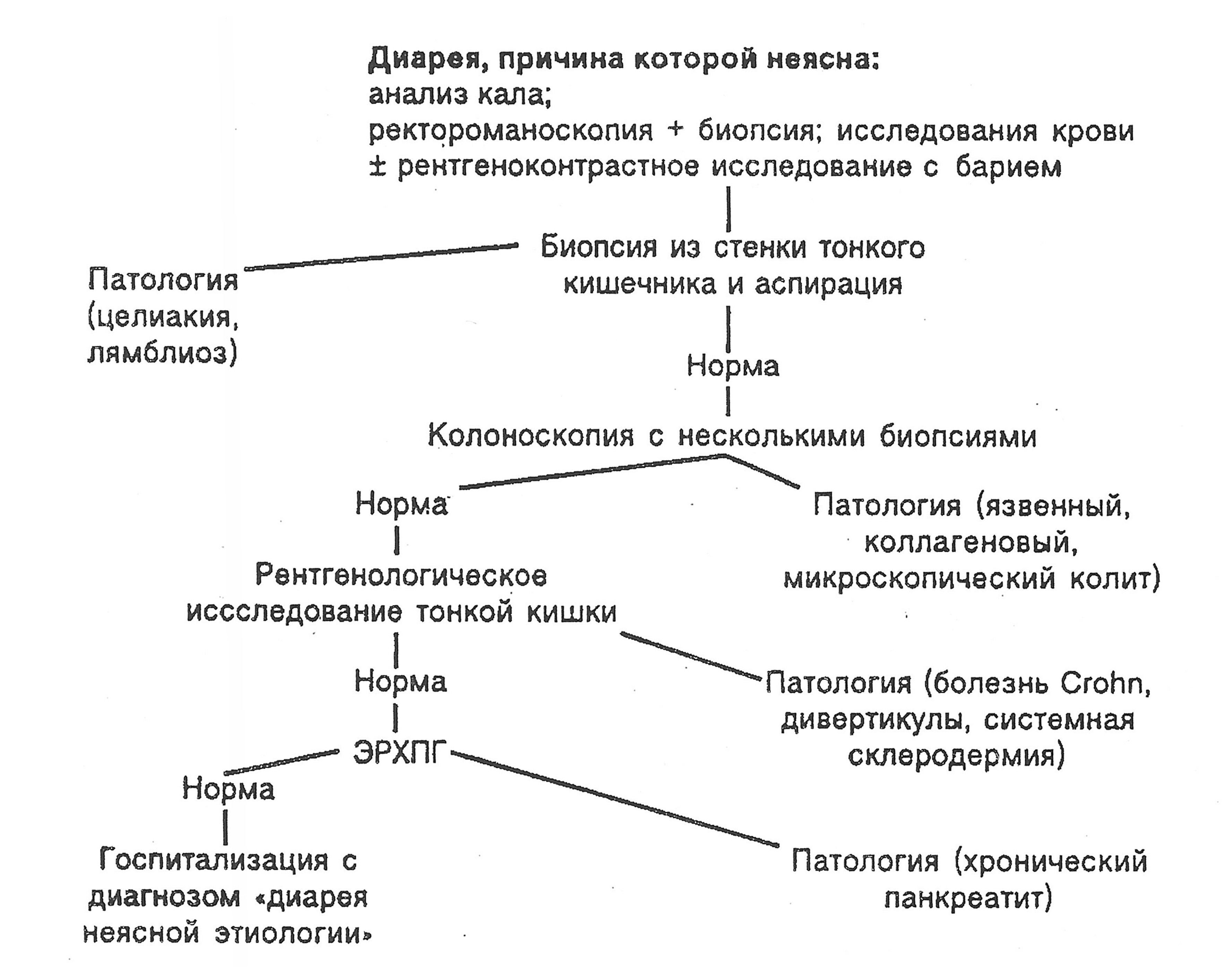 Частые позывы в туалет по большому у женщин но не понос причины и лечение