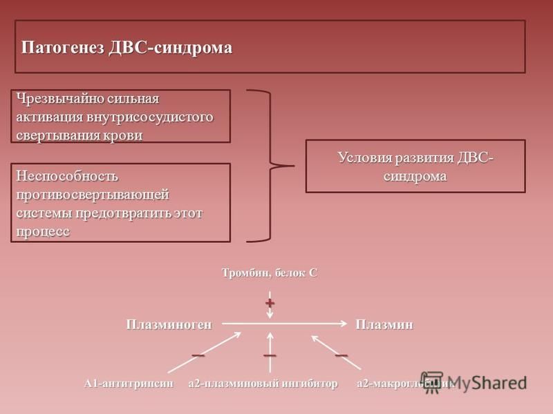 Патогенез двс синдрома схема