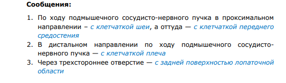 3. Дельтовидная область Границы и слои: