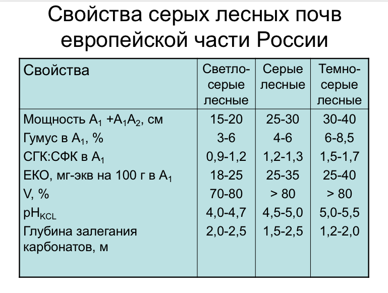 Состав серых лесных почв