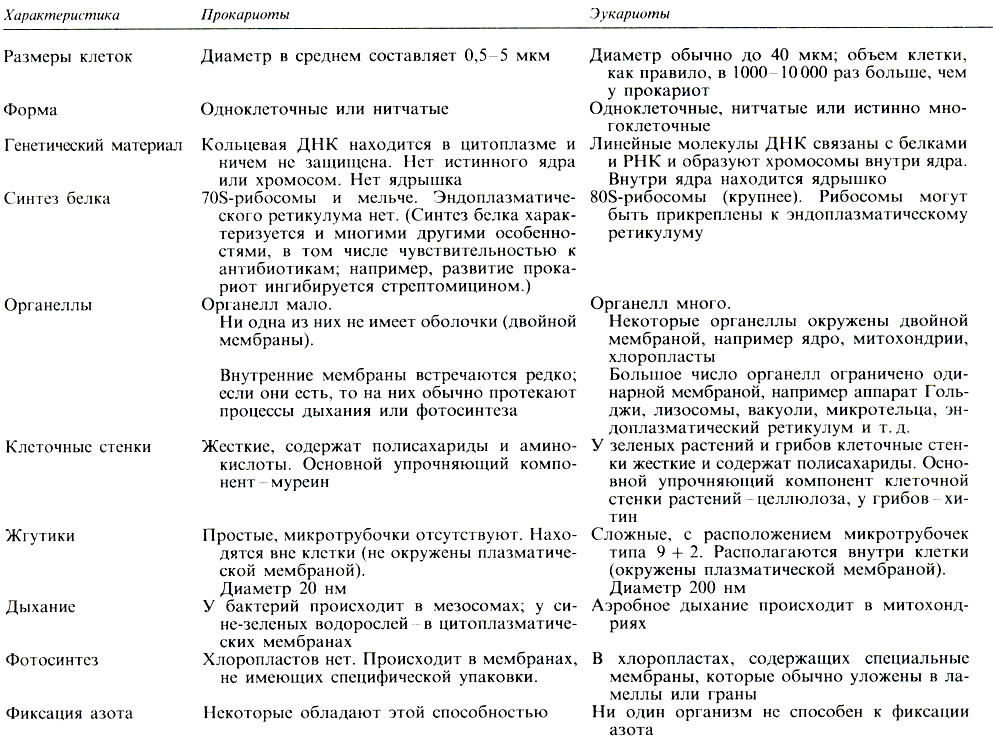 6. Перечислите основные группы микроорганизмов.