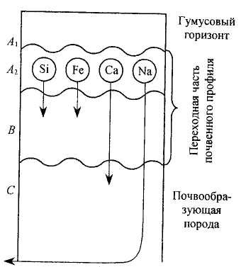 1.3. Геология,рельеф и почвы