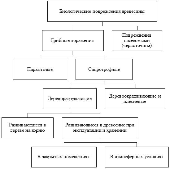 zaNOza - О пороках древесины