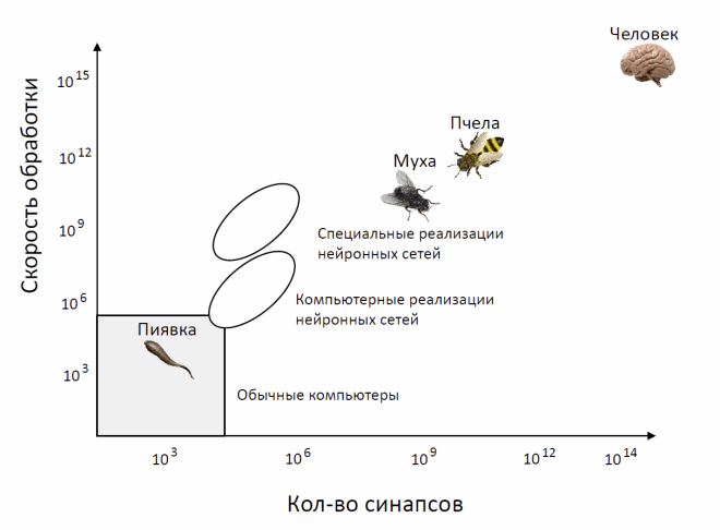 Задачи решаемые с помощью нейронных сетей