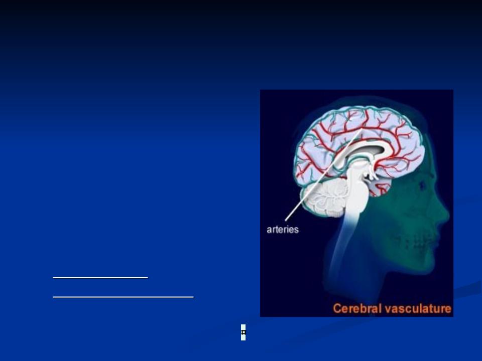 Сосудистые поражения головного мозга