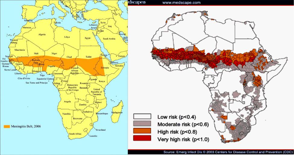Страны медного пояса. Медный пояс Африки государства. Менингитный пояс Африки. Государства на территории медного пояса Африки. Медный пояс Африки на карте.