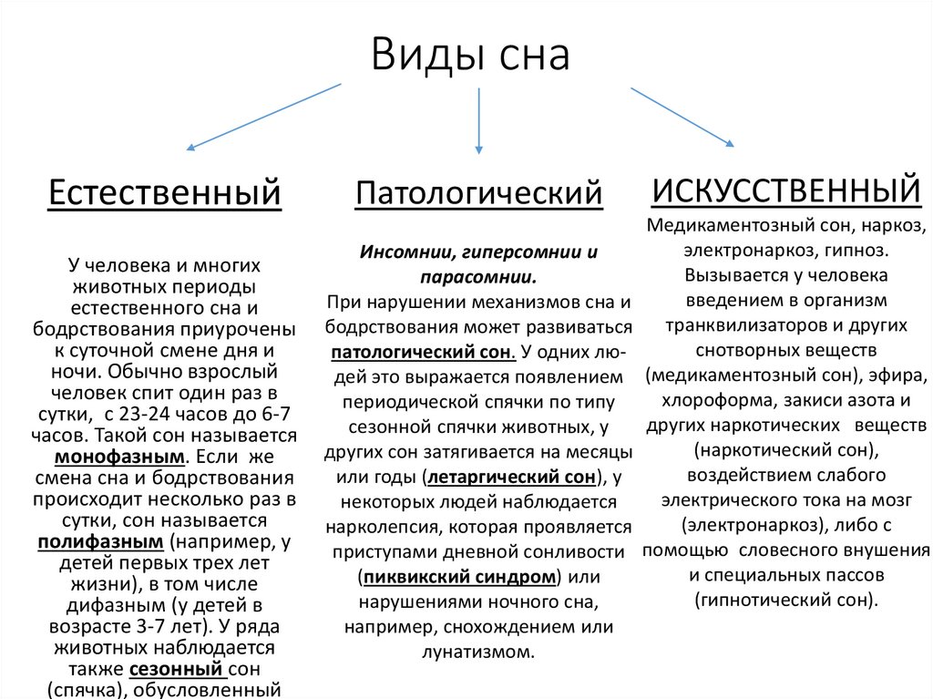 Сновидение какие бывают. Виды сна физиология. Виды и фазы сна. Характеристика видов сна. Сон виды и фазы сна.