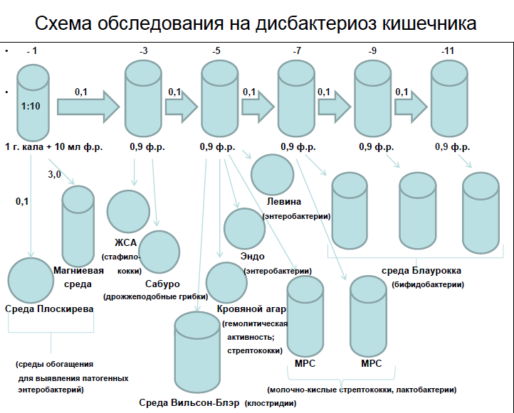 Схема лечения дисбактериоза у взрослого