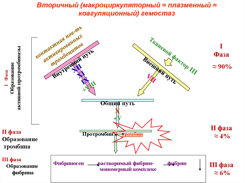 Этапы коагуляционного гемостаза схема. Вторичный плазменный коагуляционный гемостаз. Схема свертывания крови по коагуляционному гемостазу. 1 Фаза коагуляционного гемостаза схема.