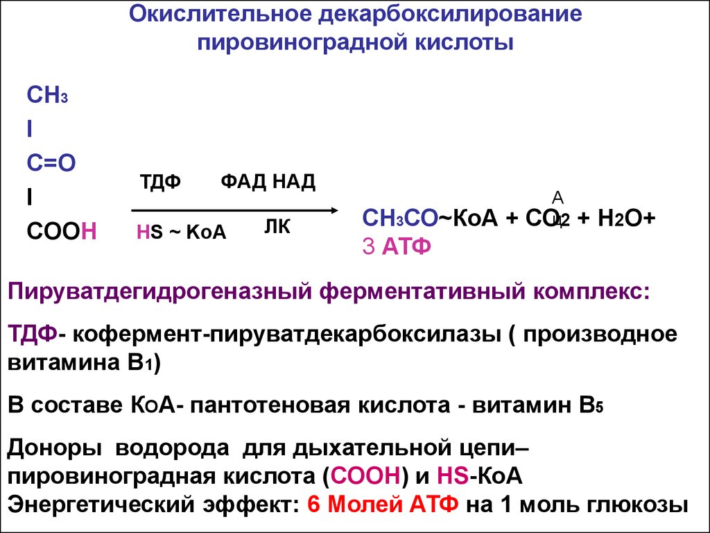 6 Билет